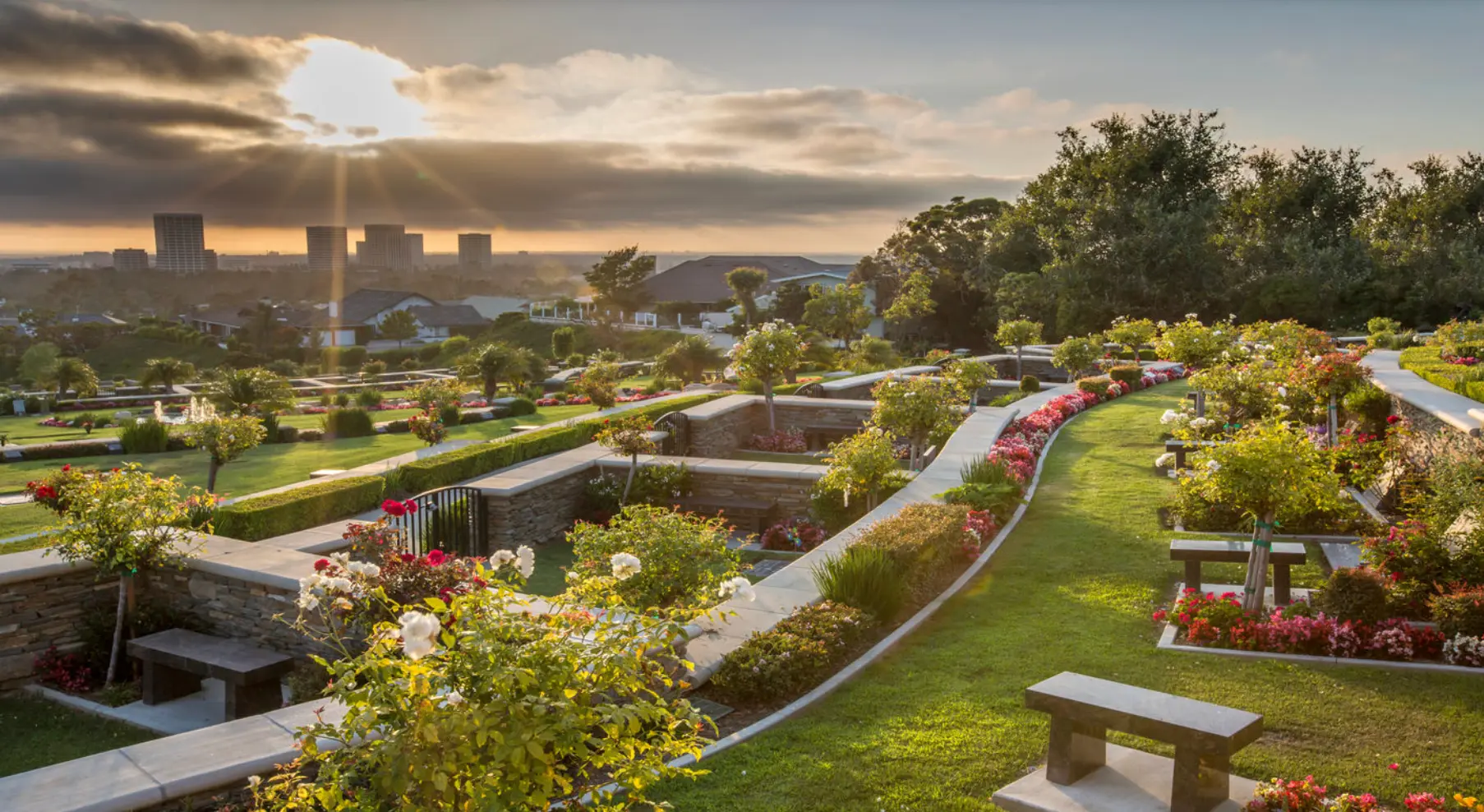 Hillside gardens at sunset