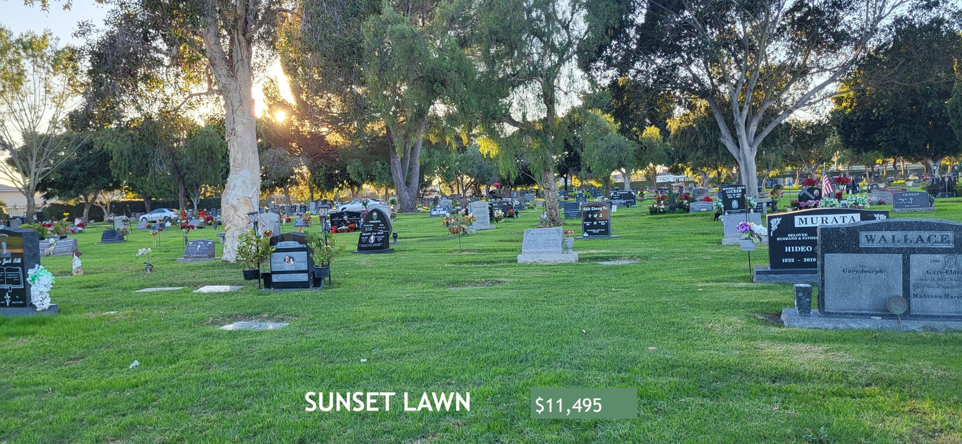 Sunset Lawn