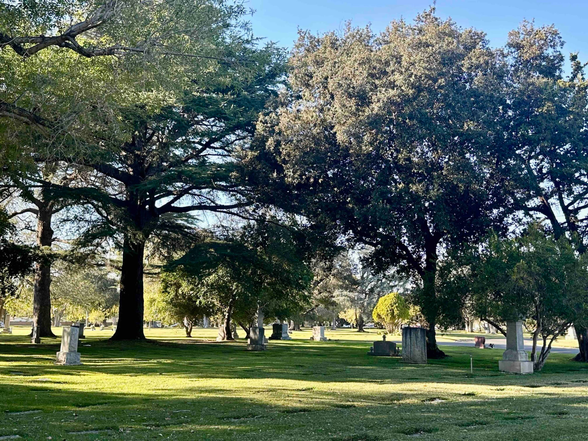 Fairhaven cemetery lawn and mature trees