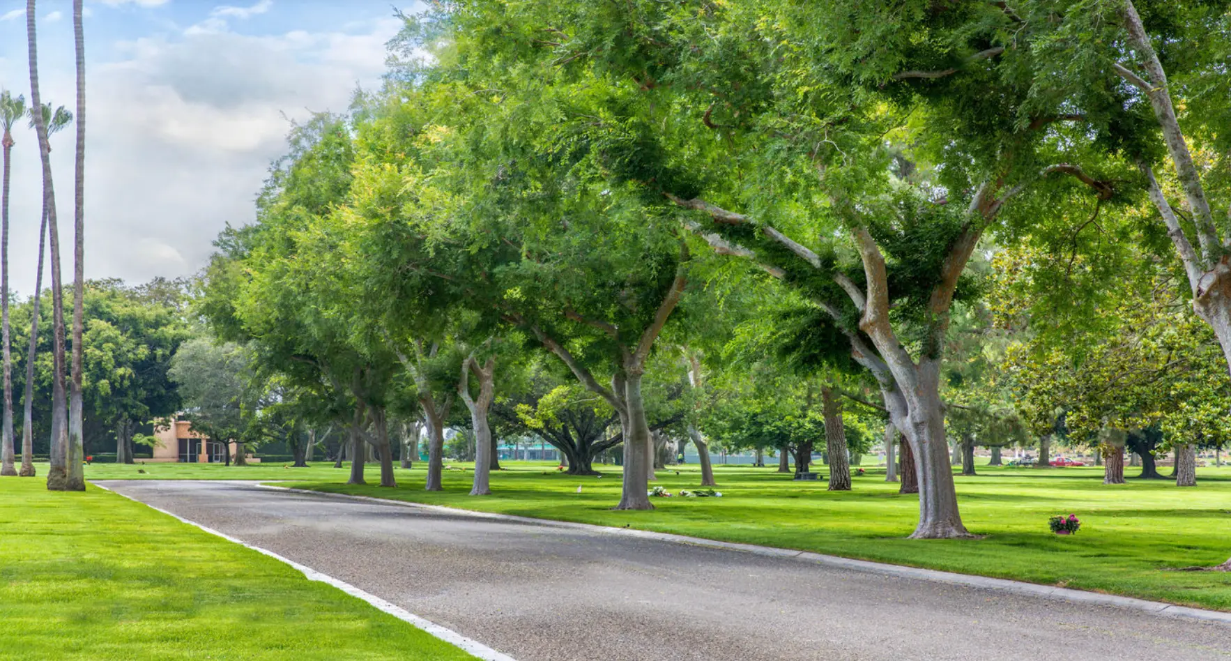 Tree-lined memorial drive