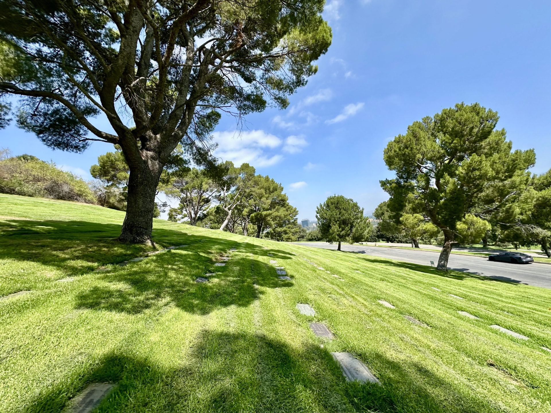 Shaded lawn memorials under mature pines