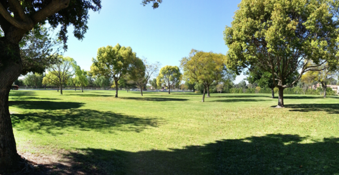Tree-lined burial lawns