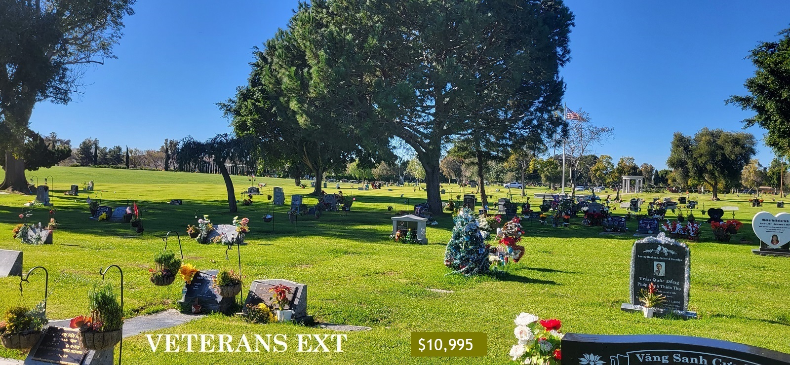 Veterans Extension lawn